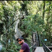 ���������� ����������, ���� ������� ������, 38 ���, ������������ ��� ������, ����� � ���������