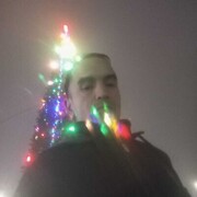 ���������� ������, ���� ������� ��������, 31 ���, ������������ ��� ������, ����� � ���������, c�������� ���������, ���������