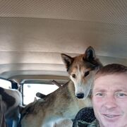 ���������� ���������, ���� ������� ������, 43 ����, ������������ ��� ������, ����� � ���������, c�������� ���������