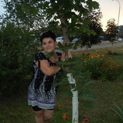  ,   , 55 ,  