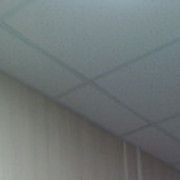 ���������� ���������, ���� ������� �����, 44 ����, ������������ 