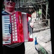   ,   , 66 ,   