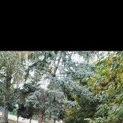  ,   David, 36 ,   ,   
