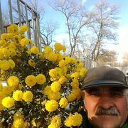 ���������� ������, ���� ������� �������, 60 ���, ������������ ��� ������, ����� � ���������, c�������� ���������, ���������