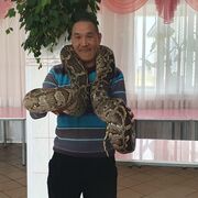 ���������� ����, ���� ������� NASTIAN, 37 ���, ������������ ��� ������, ����� � ���������