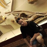 ���������� ������, ���� ������� �������, 37 ���, ������������ ��� ������, ����� � ���������, ���������