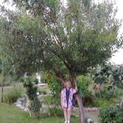 ���������� ������������, ���� ������� ��������, 37 ���, ������������ ��� ������, ����� � ���������, c�������� ���������