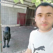  ,   Samar, 36 ,   ,   , c , 