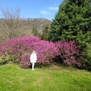 ���������� �������, ���� ������� ���������, 67 ���, ������������ ��� ������, ����� � ���������, c�������� ���������