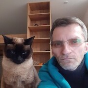 ���������� ����, ���� ������� ����, 47 ���, ������������ ��� ����� � ���������, c�������� ���������