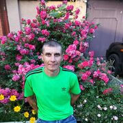  --,   , 46 ,   ,   , c 