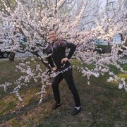  ,   , 39 ,  