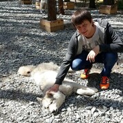 ���������� ��������, ���� ������� �������, 32 ����, ������������ ��� ������, ����� � ���������, c�������� ���������