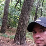   ,   , 41 ,   ,   , c 