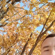 ���������� �����������, ���� ������� �����, 28 ���, ������������ ��� ������, ����� � ���������