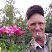  ,   , 62 ,   ,   , c 