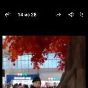 ���������� ������, ���� ������� ���������, 50 ���, ������������ ��� ������, ����� � ���������