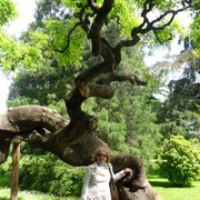  ,   Anna, 65 ,   ,   , c 