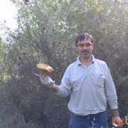  Tirat Karmel,  ribak6464, 57