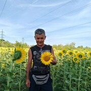 ���������� ����������, ���� ������� �������, 61 ���, ������������ ��� ������, ����� � ���������, c�������� ���������