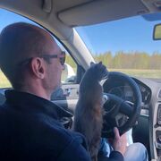 ���������� ��������, ���� ������� ������, 46 ���, ������������ ��� ������, ����� � ���������, c�������� ���������