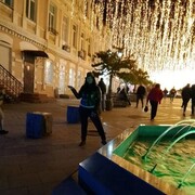 ���������� �����������, ���� ������� �������, 42 ����, ������������ ��� ������, ����� � ���������