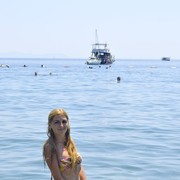 ���������� ������, ���� ������� ������, 36 ���, ������������ ��� ������, ����� � ���������, c�������� ���������