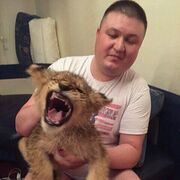 ���������� ������, ���� ������� ������, 43 ����, ������������ ��� ������, ����� � ���������, c�������� ���������, ���������