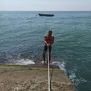 ���������� �����������, ���� ������� �����, 31 ���, ������������ ��� ������, ����� � ���������