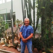 ���������� ������, ���� ������� ������, 62 ����, ������������ ��� ������, ����� � ���������, c�������� ���������