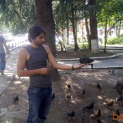  ,   , 43 ,   ,   , c , 