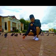 ���������� �����-���������, ���� ������� �����, 28 ���, ������������ ��� ������, ����� � ���������, c�������� ���������