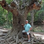  ,   , 51 ,   ,   
