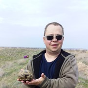 ���������� ���������, ���� ������� ����, 40 ���, ������������ ��� ������, ����� � ���������, c�������� ���������