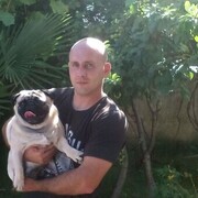 ���������� �����, ���� ������� ���������, 39 ���, ������������ ��� ������, ����� � ���������