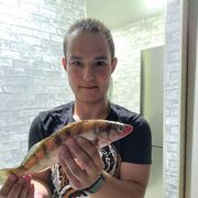 ���������� ��������, ���� ����� ��������, 24 ����, ������������ ��� ������, ����� � ���������