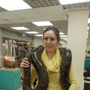 ���������� ������, ���� ������� ��������, 37 ���, ������������ ��� ������, ����� � ���������, c�������� ���������