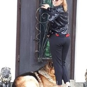 ���������� ����, ���� ������� ��������, 55 ���, ������������ ��� ����� � ���������, c�������� ���������