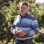 ���������� ������������, ���� ������� ����������, 49 ���, ������������ ��� ������, ����� � ���������, c�������� ���������, ���������