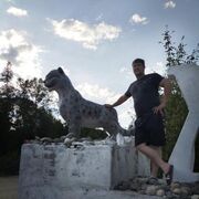 ���������� �������, ���� ������� �������, 40 ���, ������������ ��� ������, ����� � ���������, c�������� ���������