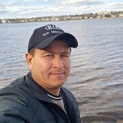  Frankfurt am Main,   Ulugbek, 43 ,   ,   