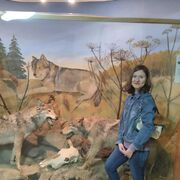 ���������� ������, ���� ������� �����, 33 ����, ������������ ��� c�������� ���������