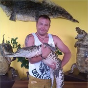 ���������� �����������, ���� ������� �������, 40 ���, ������������ ��� ������, ����� � ���������, c�������� ���������