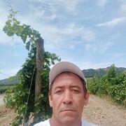  ,   , 46 ,   ,   