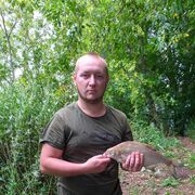 ���������� ������, ���� ������� ������, 29 ���, ������������ ��� ������, ����� � ���������, c�������� ���������, ���������