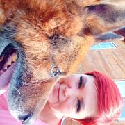 ���������� �������, ���� ������� �������, 54 ����, ������������ ��� ����� � ���������, c�������� ���������