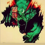 ���������� ����, ���� ������� ������, 28 ���, ������������ ��� ������, ����� � ���������, c�������� ���������