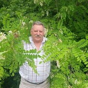 ���������� ������, ���� ������� ������, 61 ���, ������������ ��� ������, ����� � ���������, c�������� ���������