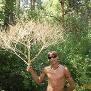  ,  likan, 32