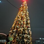 ���������� ������-��-����, ���� ������� ��������, 29 ���, ������������ ��� ������, ����� � ���������, c�������� ���������